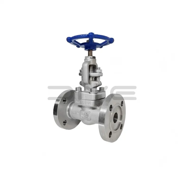 Forged Steel Flange Globe Valves