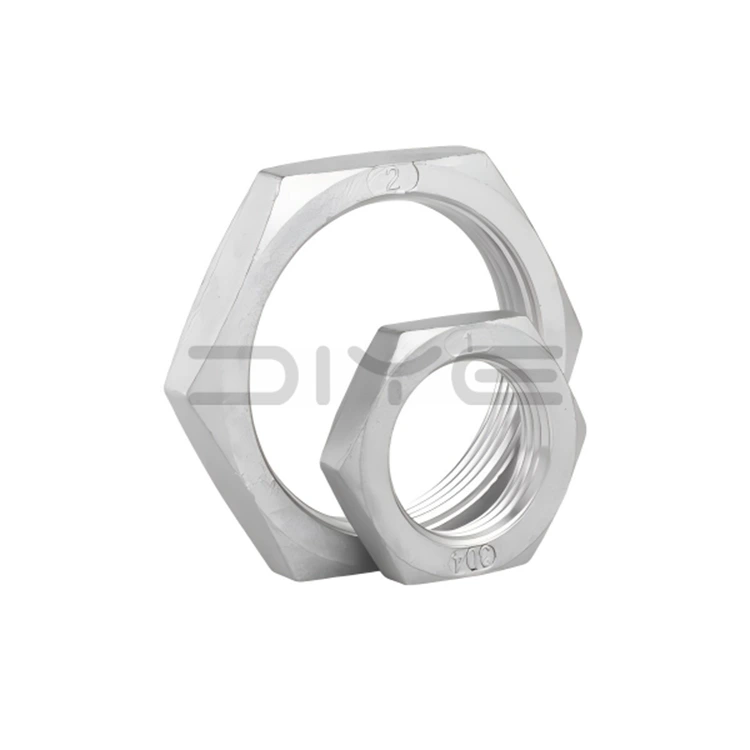 Stainless Steel Hex Nut
