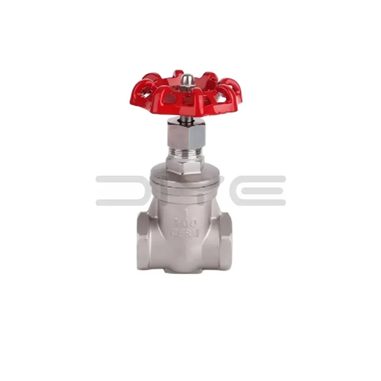 Stainless Steel Threaded Gate Valve